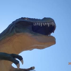 Meet your Posher, George